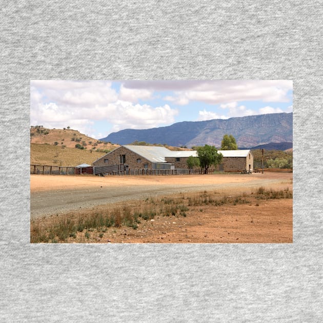 Arkaba Homestead & Elder Range by Carole-Anne